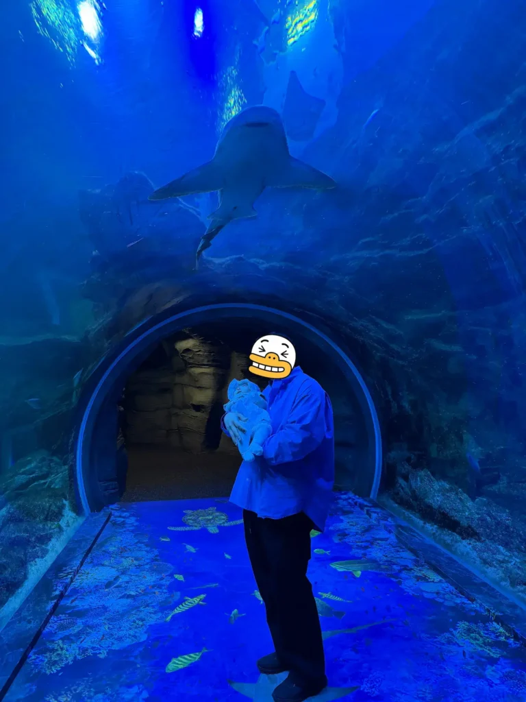 생후 100일 아기를 안고 아쿠아리움 대형 해저터널 수조 상어 배경으로 찍은 아빠 내돈내산 방문 인증 사진